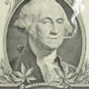 Meet your Posher, Miguel